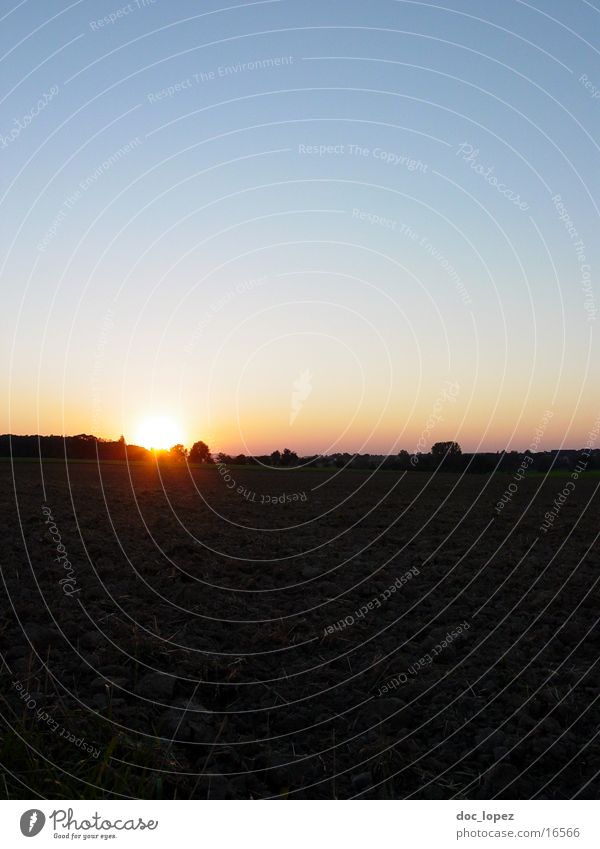 Sundown_again Sonnenuntergang Feld Wald Baden-Württemberg Farbenspiel Gegenlicht Ferne Himmel Horizint Landschaft Abend Stimmung