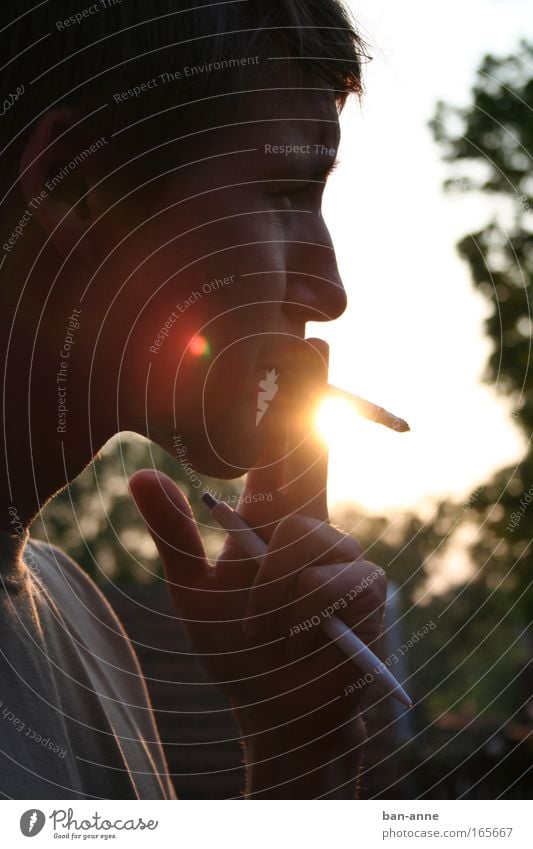 An der Zissl ziehen Gedeckte Farben Außenaufnahme Detailaufnahme Abend Dämmerung Licht Schatten Silhouette Sonnenlicht Sonnenstrahlen Gegenlicht Porträt Profil