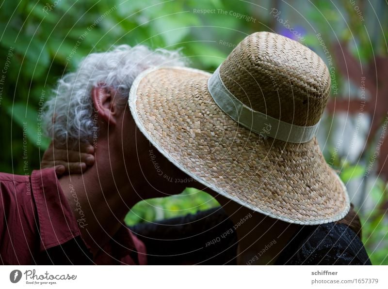 AST 9 | Im festen Griff des Sonnenhutes Mensch Frau Erwachsene Mann Paar Partner Leben Kopf 2 45-60 Jahre Küssen Liebe Liebespaar Liebesaffäre Liebesbekundung