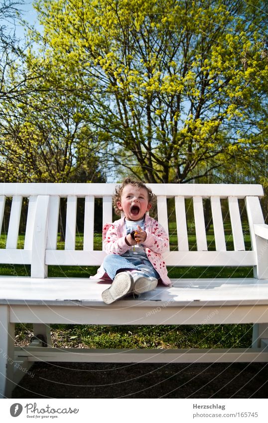 Spring is in the air mehrfarbig Textfreiraum oben Weitwinkel Blick in die Kamera Glück Kleinkind Mädchen Blühend Lächeln lachen leuchten authentisch