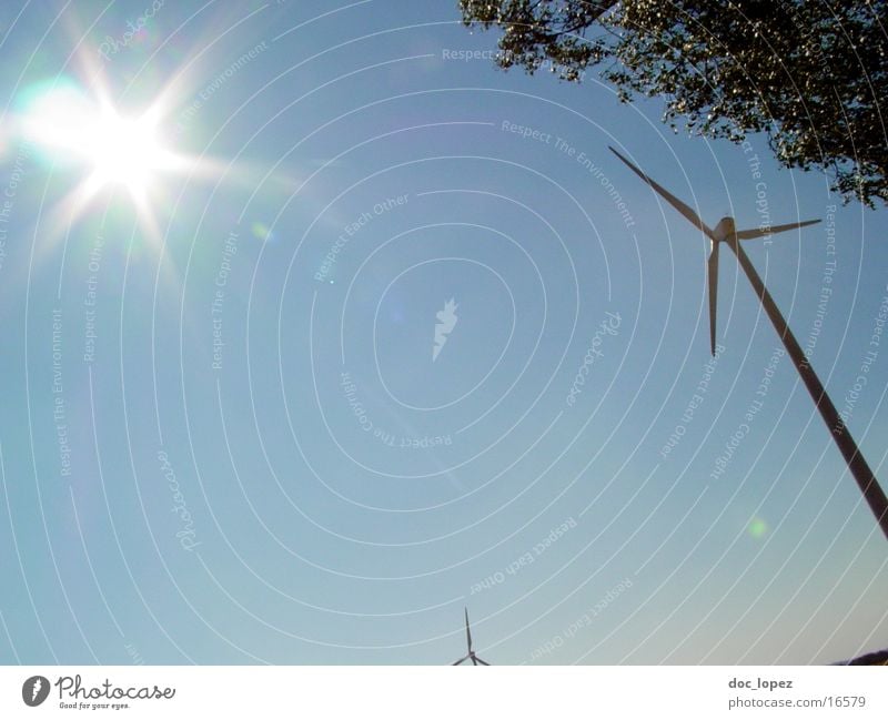 der_Sonne_entgegen_2 Baum blenden Stimmung Gegenlicht Rauschen Windkraftanlage Himmel Landschaft alternative Energie gewinnen