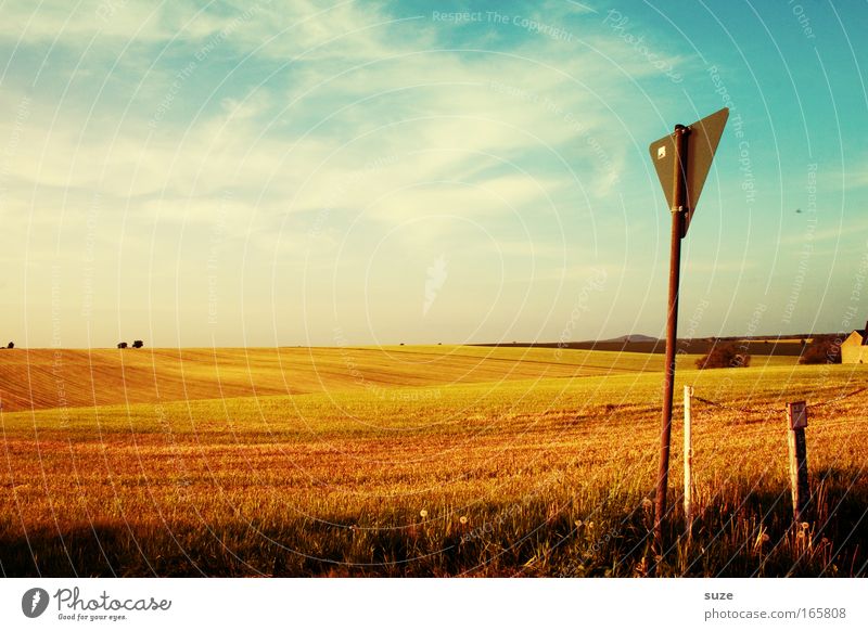 Landtag Umwelt Natur Landschaft Pflanze Himmel Wolken Sommer Klima Schönes Wetter Wärme Nutzpflanze Feld Dorf Straßenkreuzung Wege & Pfade