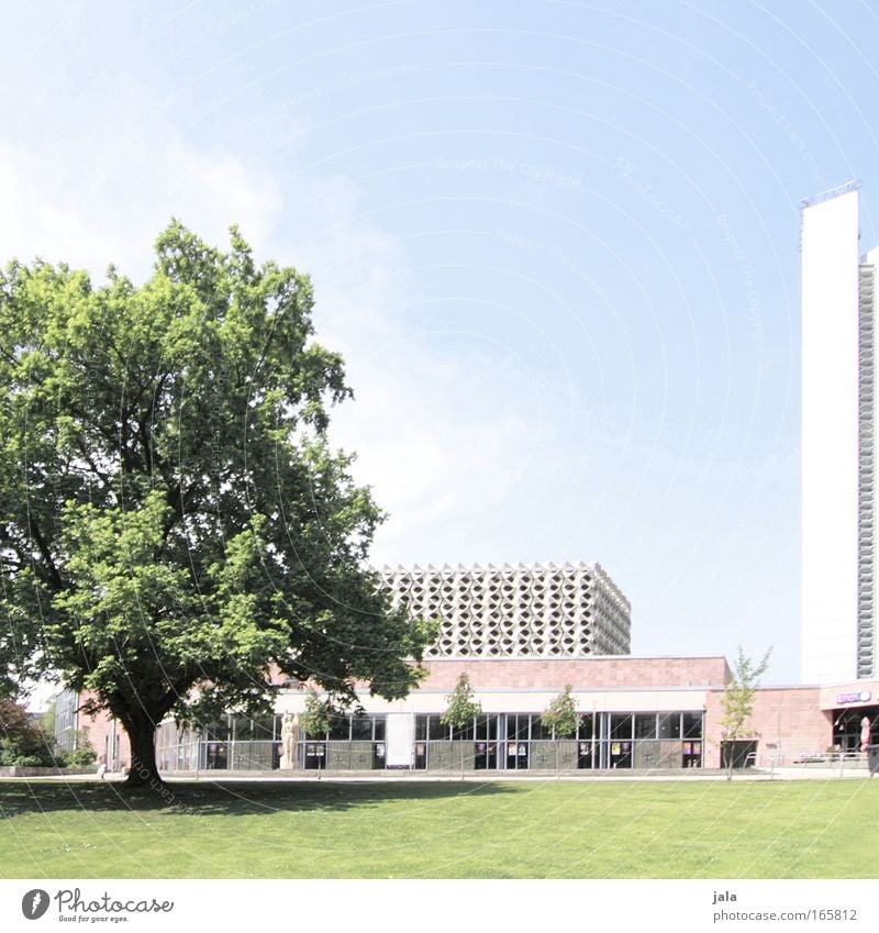 Ein bisschen Sonne jeden Tag Farbfoto Gedeckte Farben Außenaufnahme Menschenleer Licht Himmel Baum Gras Park Wiese Stadt Stadtzentrum Haus Hochhaus Platz