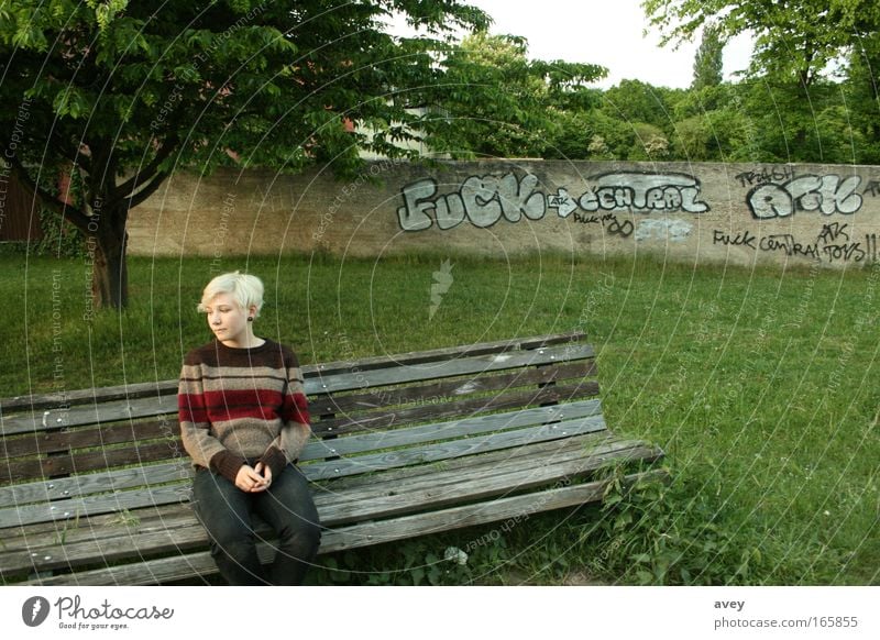 gute aussichten für die zukunft Bank Natur Baum Mensch alone Graffiti grau weiß Streifen Asymmetrie ungewiss warten fuck Zeit Einsamkeit blond Angst fade