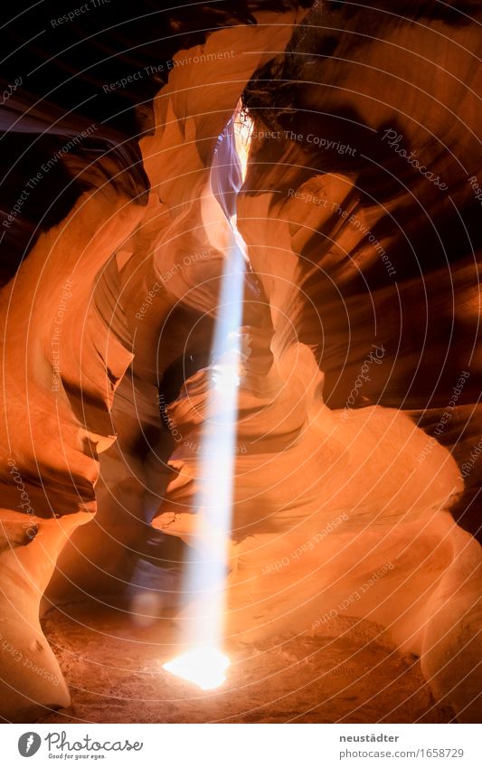 Antelope Canyon IV Natur Erde Sand Sonne Sonnenlicht Schlucht Stein ästhetisch außergewöhnlich fantastisch braun gelb orange Abenteuer Einsamkeit einzigartig