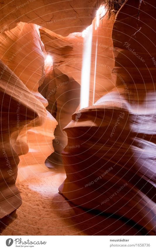 Antelope Canyon I Umwelt Erde Sand Sonnenlicht Schlucht außergewöhnlich natürlich trocken braun gelb orange Warmherzigkeit Abenteuer einzigartig entdecken