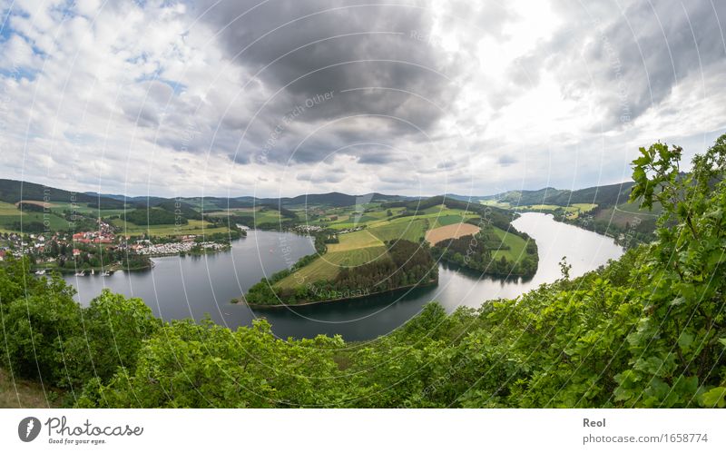 Blick auf den See Umwelt Natur Landschaft Pflanze Urelemente Erde Himmel Wolken Sommer Schönes Wetter Sträucher Wiese Feld Wald Hügel Teich Diemel Diemelsee