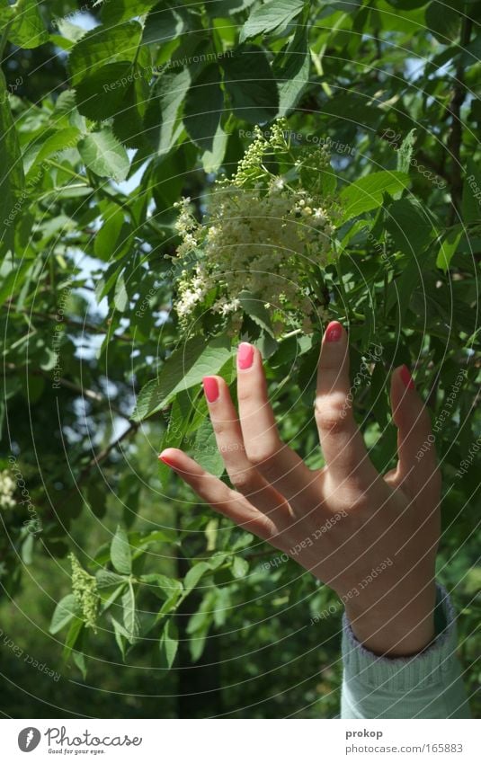 Fummelfrüchtchen Farbfoto Außenaufnahme Tag Schatten Kontrast Starke Tiefenschärfe Zentralperspektive Mensch feminin Junge Frau Jugendliche Hand Finger Umwelt