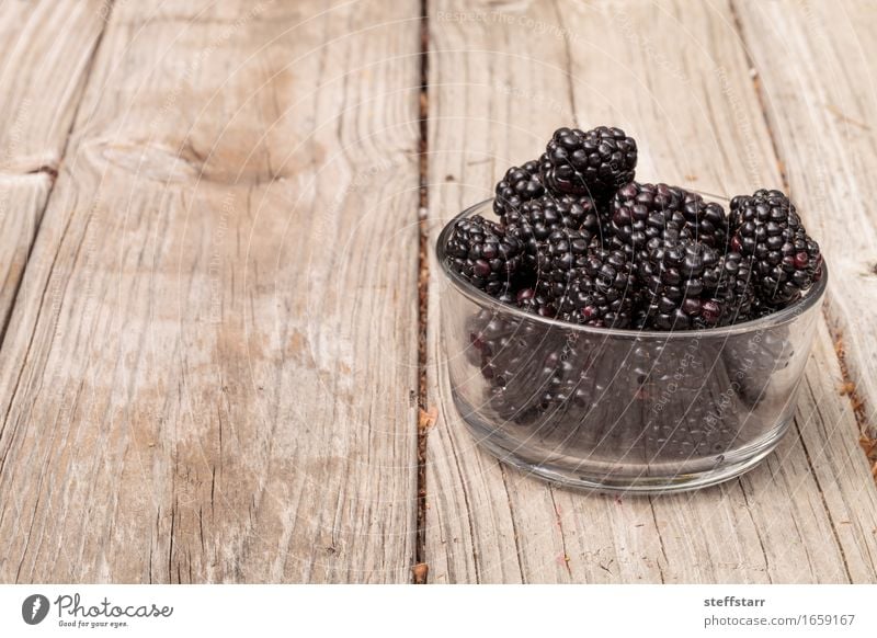 Klarglasschüssel reife Brombeeren Lebensmittel Frucht Ernährung Essen Frühstück Picknick Bioprodukte Vegetarische Ernährung Diät Schalen & Schüsseln Lifestyle