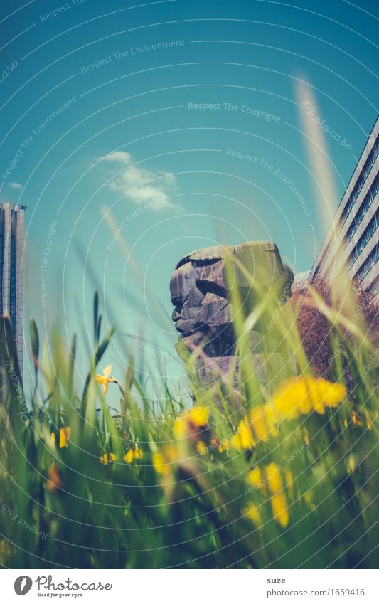 Ich, der Käfer und Karl Skulptur Umwelt Natur Frühling Blume Blüte Wiese Stadt Stadtzentrum Platz Bauwerk Architektur Sehenswürdigkeit Wahrzeichen Denkmal blau