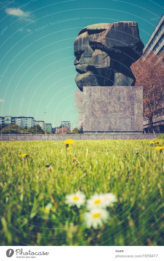 Profilbild Umwelt Natur Frühling Blume Blüte Wiese Stadt Stadtzentrum Platz Bauwerk Architektur Sehenswürdigkeit Wahrzeichen Denkmal grün Stimmung