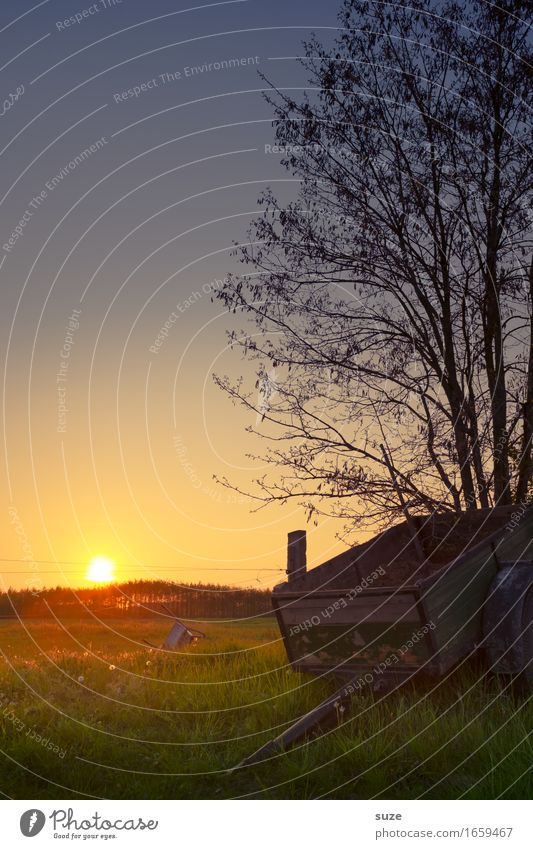 Schlusslicht Sommer Landwirtschaft Forstwirtschaft Natur Landschaft Pflanze Baum Gras Wiese Feld Anhänger alt Stimmung Romantik Idylle Nostalgie Vergangenheit