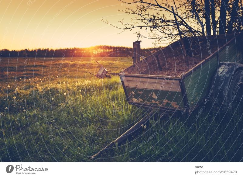 Hab und Gut Landwirtschaft Forstwirtschaft Natur Landschaft Pflanze Sommer Gras Wiese Feld Anhänger alt Stimmung Romantik Idylle Nostalgie Vergangenheit