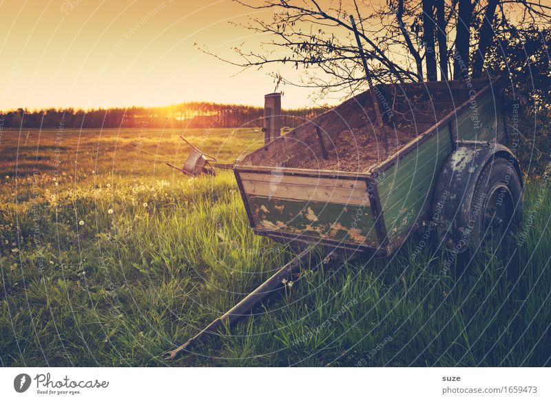 Ein Achser Landwirtschaft Forstwirtschaft Natur Landschaft Pflanze Sommer Gras Wiese Feld Anhänger alt Stimmung Romantik Idylle Nostalgie Vergangenheit