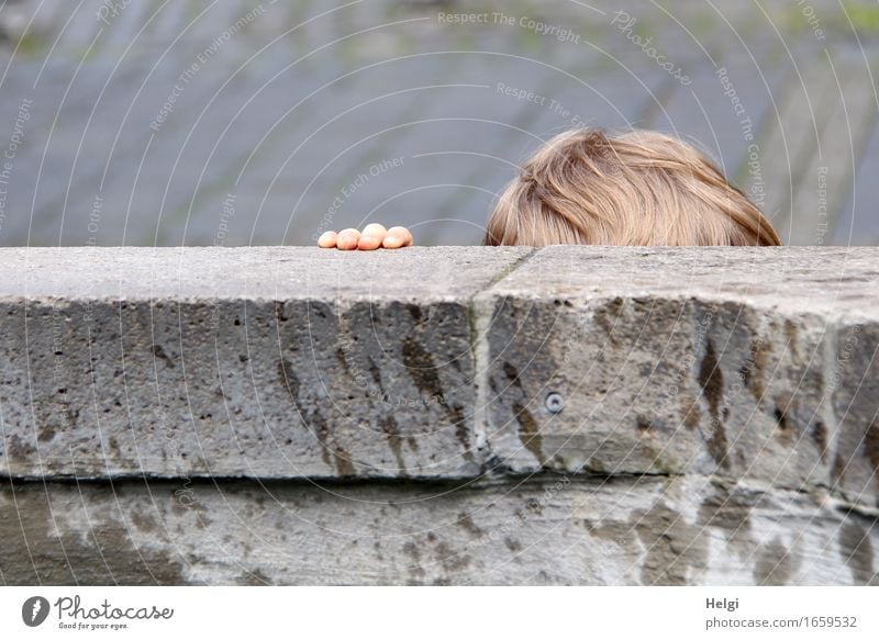 AST 9 | am Brunnen Mensch Kleinkind Kopf Haare & Frisuren Hand Finger 1 1-3 Jahre Stein festhalten stehen authentisch einzigartig klein braun grau Leben