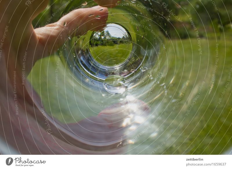 Wasserglas Durst Erfrischungsgetränk Durstlöscher Garten Schrebergarten Sommer Textfreiraum trinken Wachstum Glas Wiese Hand festhalten Finger Wassertropfen