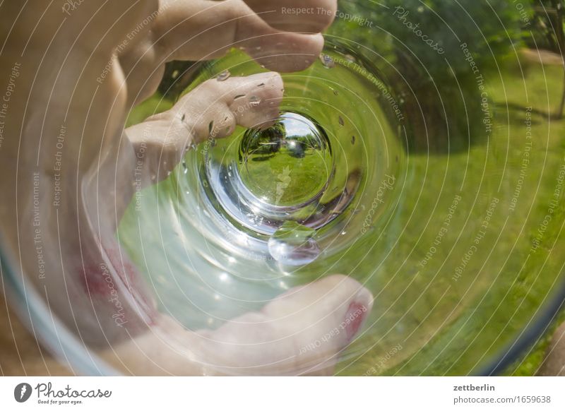 Trinken Durst Erfrischungsgetränk Durstlöscher Garten Schrebergarten Sommer Textfreiraum trinken Wachstum Wasser Glas Wasserglas Wiese Hand festhalten Finger