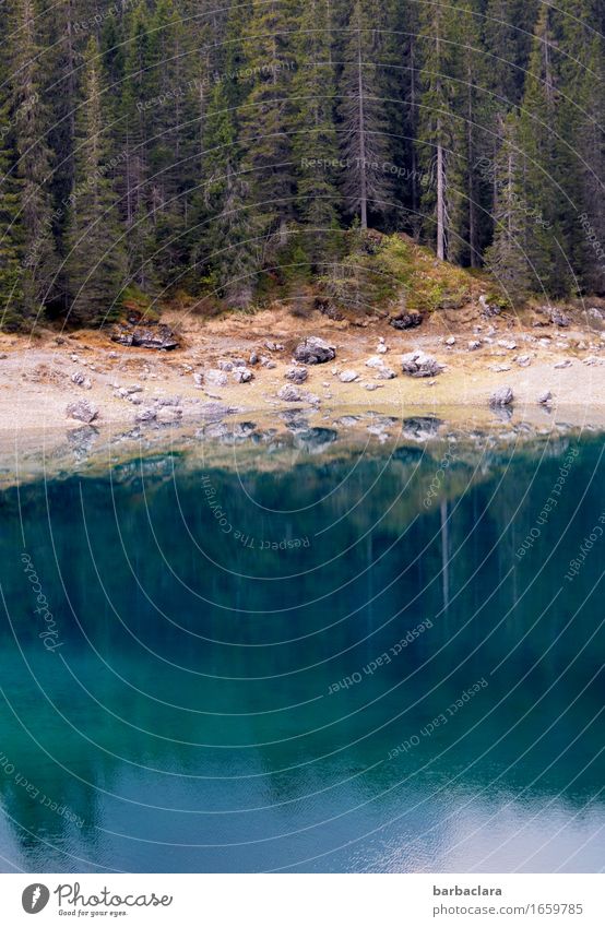 Karersee in den Dolomiten Ferien & Urlaub & Reisen Natur Landschaft Urelemente Erde Wasser Sommer Baum Wald Berge u. Gebirge Seeufer Südtirol Stein leuchten