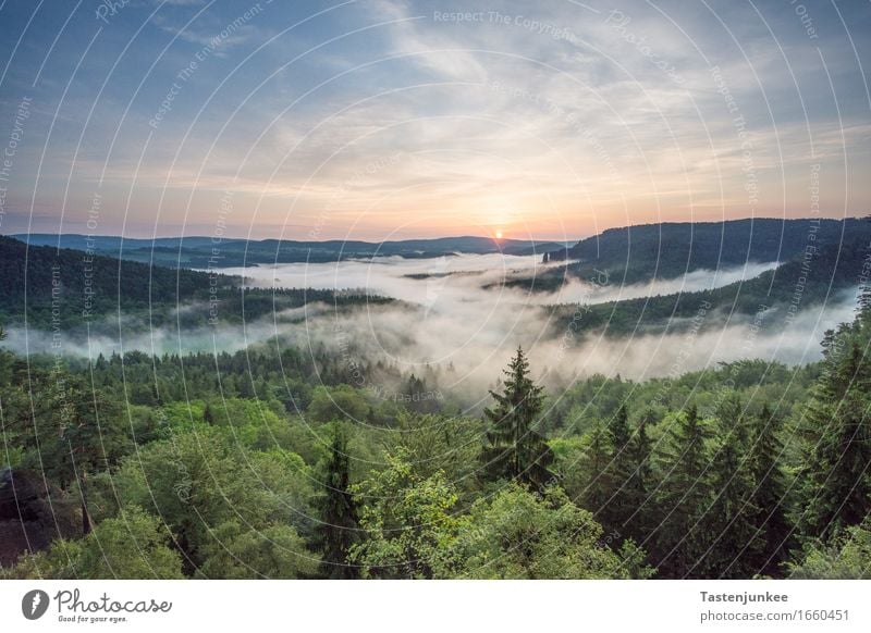 Sunrise Umwelt Natur Landschaft Himmel Sonne Sonnenaufgang Sonnenuntergang Sonnenlicht Schönes Wetter Baum wandern Nebel Morgen Morgennebel Morgendämmerung Wald