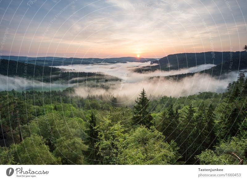 Sunrise Umwelt Natur Landschaft Himmel Sonne Sonnenaufgang Sonnenuntergang Sonnenlicht Schönes Wetter Nebel Baum Wald wandern Morgen Morgendämmerung Morgennebel