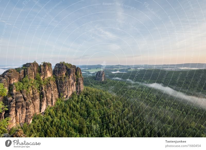 Schrammsteine Natur Landschaft Himmel Sonnenaufgang Sonnenuntergang Sonnenlicht Baum Hügel Felsen wandern Nebel Morgen Morgendämmerung Morgennebel Wald