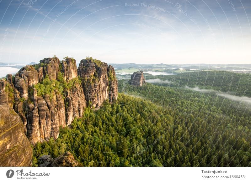 Schrammsteine Natur Landschaft Himmel Wolken Sonne Sonnenaufgang Sonnenuntergang Sonnenlicht Frühling Schönes Wetter Baum Hügel Felsen wandern Nebel Morgen