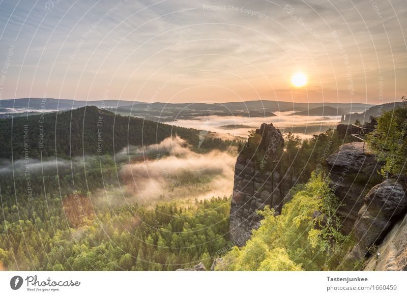 Sunrise Natur Landschaft Himmel Sonne Sonnenaufgang Sonnenuntergang Sonnenlicht Frühling Nebel Baum Hügel wandern Morgen Morgendämmerung Morgennebel Wald