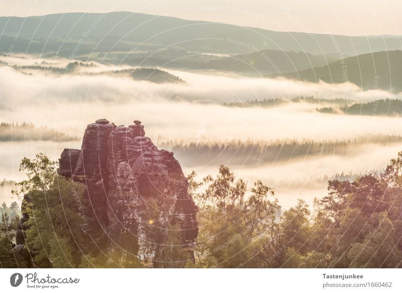 Beautiful morning for a hike Natur Landschaft Himmel Sonne Sonnenaufgang Sonnenuntergang Sonnenlicht Frühling Nebel Baum Wald Hügel Felsen wandern Morgen