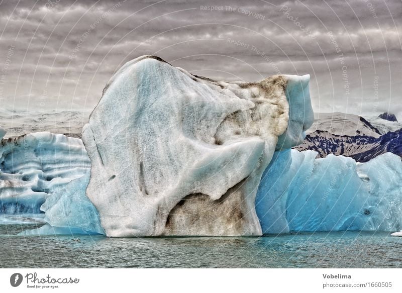 Jökulsarlon, Island Tourismus Abenteuer Ferne Winter Natur Landschaft Urelemente Wasser Wolken Klimawandel Gletscher Seeufer blau braun grau weiß Farbfoto