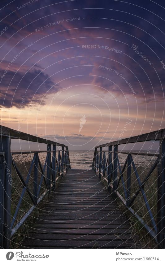 bis die wolken wieder lila sind Umwelt Natur Landschaft Pflanze Luft Wasser Klima schlechtes Wetter Unwetter Wind Gewitter Wellen Küste Strand Ostsee Meer