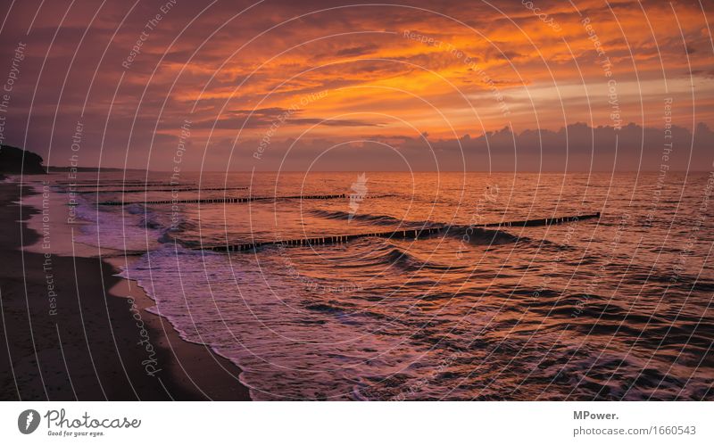 buhne 1 Umwelt Natur Wasser Schönes Wetter schlechtes Wetter Wind schön Ostsee Steg Abenddämmerung glühen Wellen Meer Küste Holz rot orange Einsamkeit ruhig