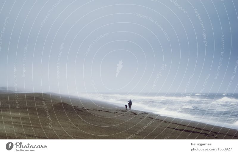 Am Strand spazierengehen Abenteuer Wellen wandern Sand Himmel Wind Küste Hund Fußspur laufen Ferien & Urlaub & Reisen Oregon USA Nordamerika Wanderung Farbfoto