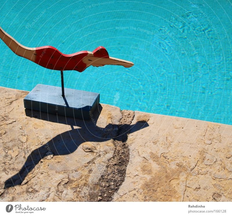 das kühle nass Farbfoto Außenaufnahme Textfreiraum rechts Textfreiraum unten Sonnenlicht Zentralperspektive Freude Schwimmen & Baden Ferien & Urlaub & Reisen