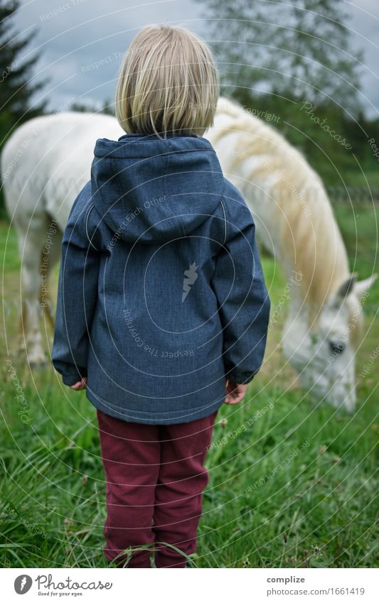 White Horse Freude Glück Freizeit & Hobby Ferien & Urlaub & Reisen Tourismus Ausflug Sommer Sommerurlaub Reiten Kind Kleinkind Familie & Verwandtschaft 1 Mensch