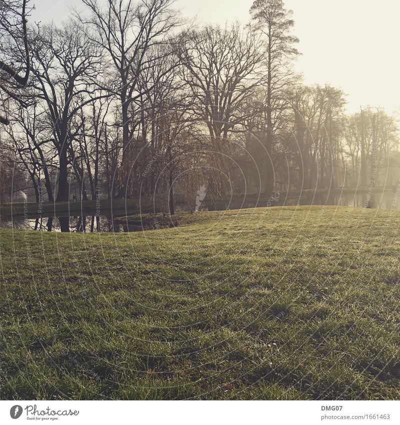 Park Lifestyle Umwelt Natur Landschaft Wasser Himmel Sonne Frühling Sommer Herbst Klima Klimawandel Wetter Schönes Wetter Baum Garten Wiese Flussufer See