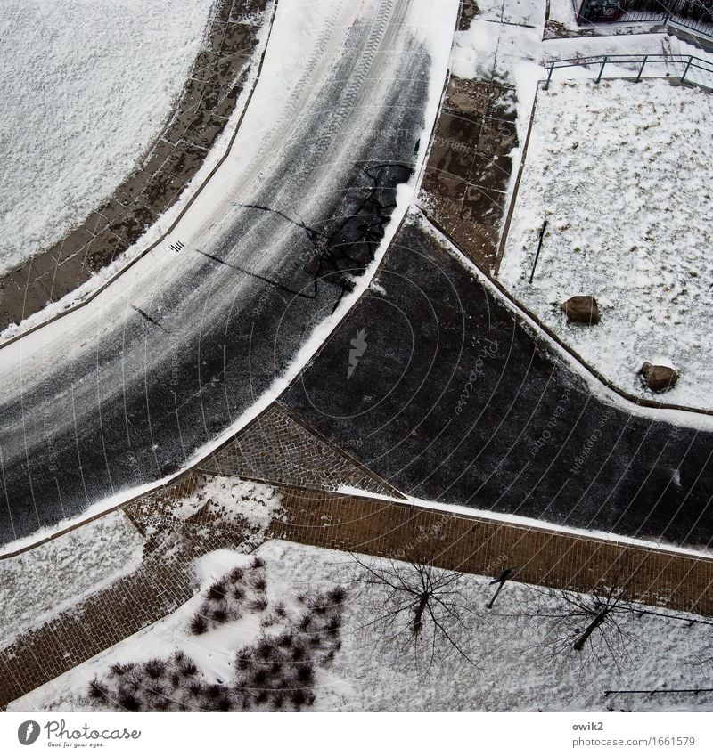 Abkühlung am Wochenende Landschaft Pflanze Winter Eis Frost Schnee Baum Gras Sträucher Wiese Verkehrswege Straße Kurve Bürgersteig Stein Beton frisch kalt