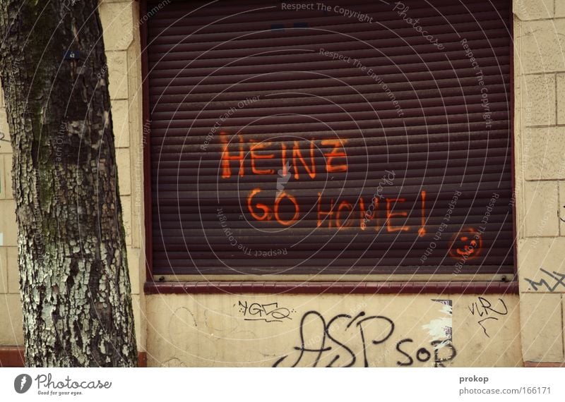 Der Heinz. Farbfoto Außenaufnahme Menschenleer Textfreiraum oben Tag Starke Tiefenschärfe Totale Baum Stadt Haus Mauer Wand Fenster Zeichen Schriftzeichen