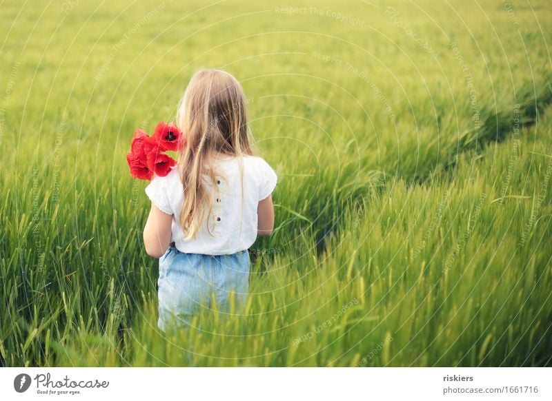 Mohntage Mensch feminin Kind Mädchen Kindheit 1 3-8 Jahre Umwelt Natur Landschaft Frühling Sommer Schönes Wetter Pflanze Blume Feld entdecken Erholung