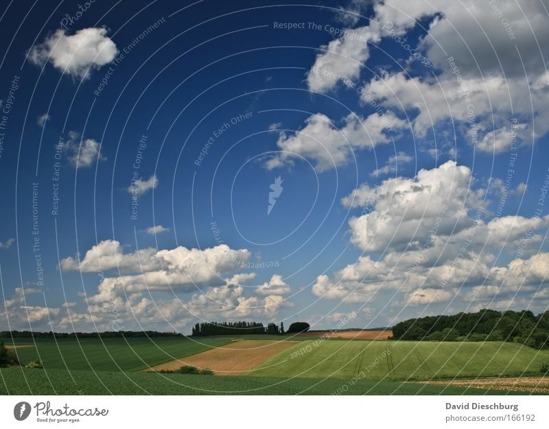 Aussicht des Bauers Heinz Farbfoto Außenaufnahme Textfreiraum links Textfreiraum rechts Textfreiraum oben Textfreiraum Mitte Morgen Tag Schatten Kontrast