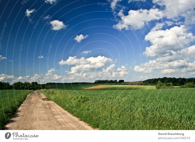 Long walk home Farbfoto Außenaufnahme Tag Kontrast Sonnenlicht Starke Tiefenschärfe Zentralperspektive Panorama (Aussicht) Weitwinkel Umwelt Natur Landschaft