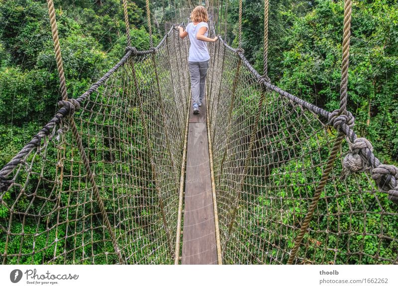 Mädchen auf Hängebrücke Ferien & Urlaub & Reisen Abenteuer Seil feminin Junge Frau Jugendliche 1 Mensch 13-18 Jahre Umwelt Natur Pflanze Luft Baum Blatt Wald