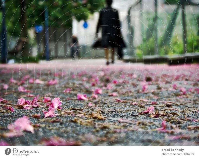 I'm Good, I'm Gone. Frau Erwachsene 2 Mensch Erde Blume Blüte Park Stadt Stadtrand Fußgänger Wege & Pfade Bewegung Blühend kaufen genießen laufen natürlich blau