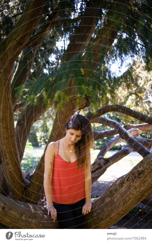 red feminin Junge Frau Jugendliche 1 Mensch 18-30 Jahre Erwachsene Natur Wald natürlich rot Farbfoto Außenaufnahme Tag Oberkörper Blick nach unten