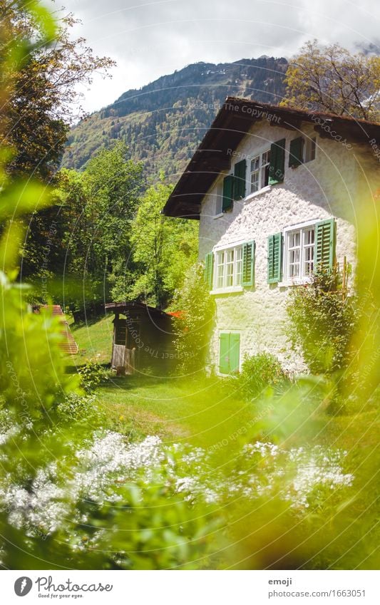 Haus Häusliches Leben Wohnung Garten Umwelt Natur Landschaft Sommer Schönes Wetter natürlich grün ländlich Idylle Farbfoto Außenaufnahme Menschenleer Tag