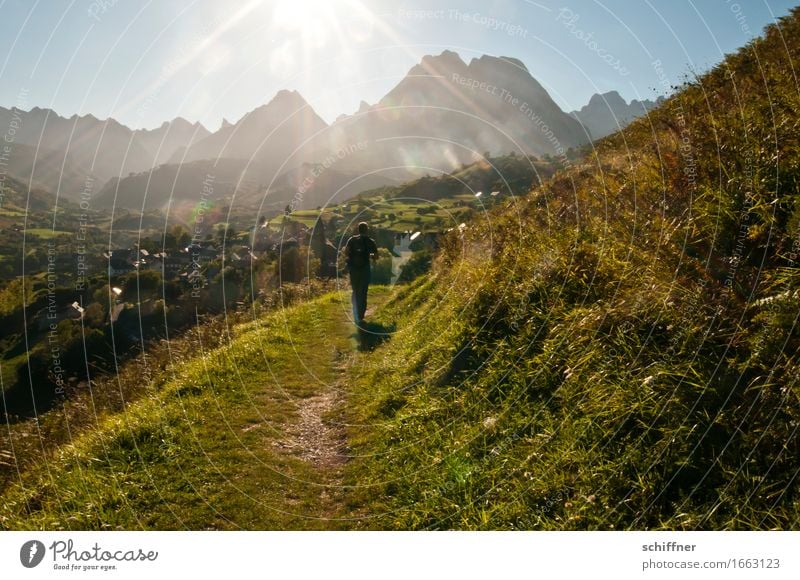 Jetzt bleib dochma stehn! Mensch maskulin Mann Erwachsene 1 Umwelt Natur Landschaft Wolkenloser Himmel Sonne Sonnenaufgang Sonnenuntergang Sonnenlicht Sommer