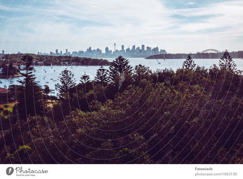 Skyline Sydney Ferien & Urlaub & Reisen Tourismus Sightseeing Städtereise Sommer Umwelt Wolken Schönes Wetter Baum Wald Flussufer Bucht Sydney Harbour