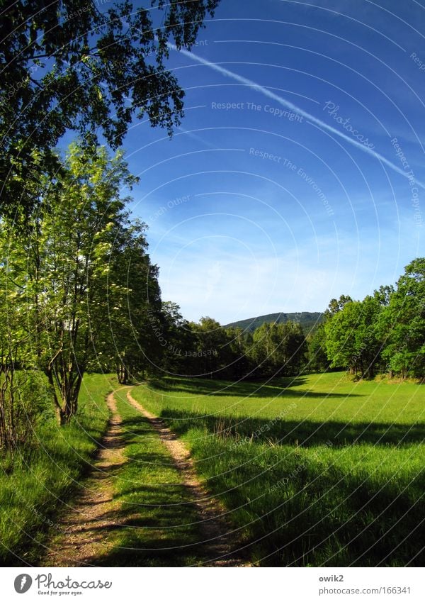 Isergebirge Ferien & Urlaub & Reisen Tourismus Ausflug Ferne Freiheit Berge u. Gebirge wandern unterwegs Umwelt Natur Landschaft Pflanze Urelemente Erde Himmel