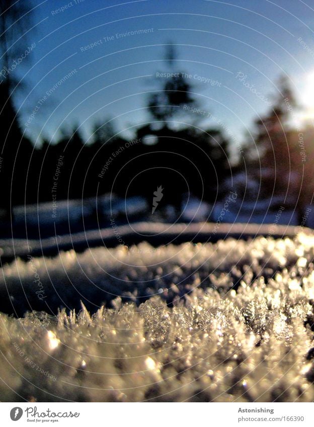 klirrend Umwelt Natur Landschaft Erde Wasser Himmel Wolkenloser Himmel Sonnenaufgang Sonnenuntergang Sonnenlicht Winter Klima Wetter Schönes Wetter Eis Frost