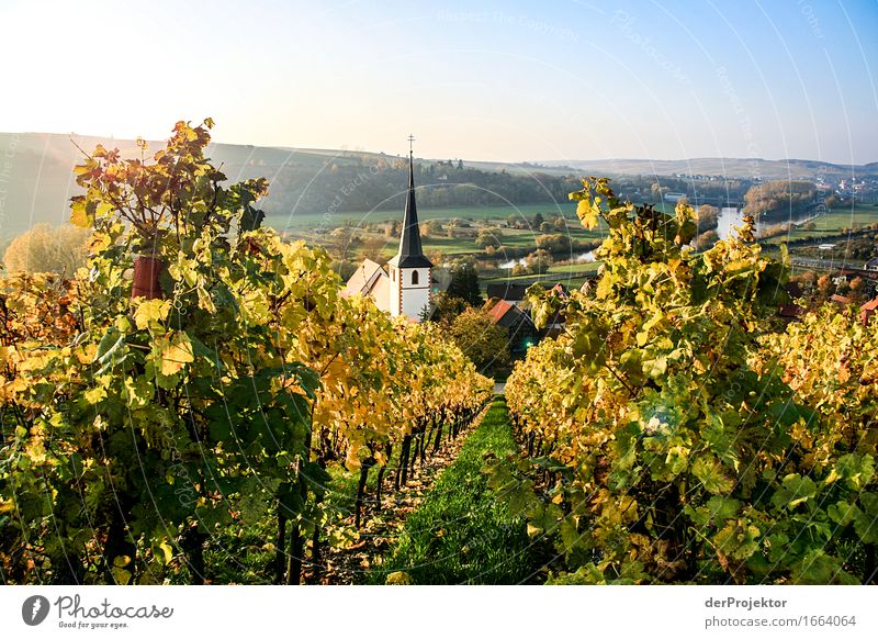 Herbstidylle in Franken Ferien & Urlaub & Reisen Tourismus Ausflug Ferne Freiheit Berge u. Gebirge wandern Umwelt Natur Landschaft Pflanze Tier Schönes Wetter