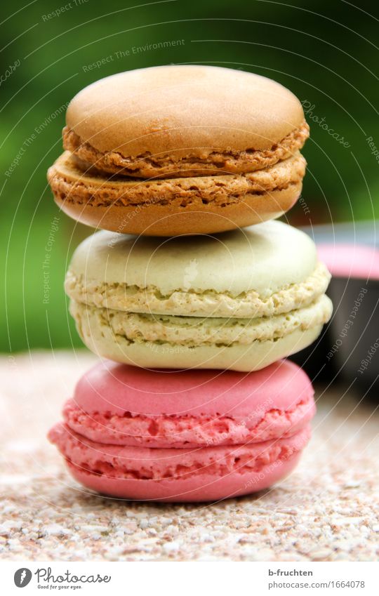 Drei bunte Macarons gestapelt Lebensmittel Süßwaren Stein braun mehrfarbig grün violett süß Stapel Backwaren Keks verführerisch Farbfoto Außenaufnahme